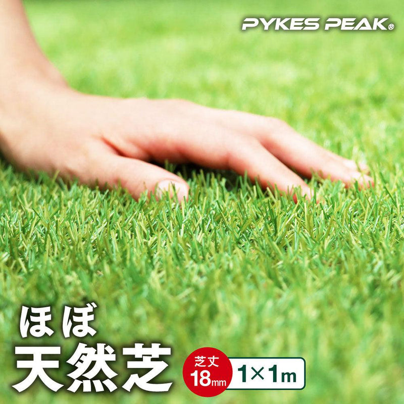 人工芝